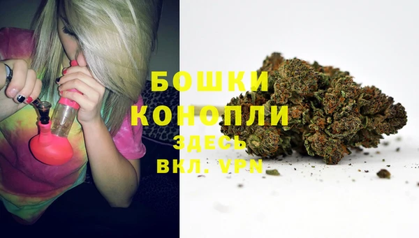 мяу мяу мука Белокуриха
