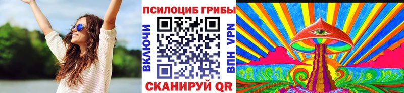 Псилоцибиновые грибы прущие грибы  Купино 